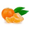 FRESH MANDARIN