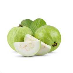 GUAVA