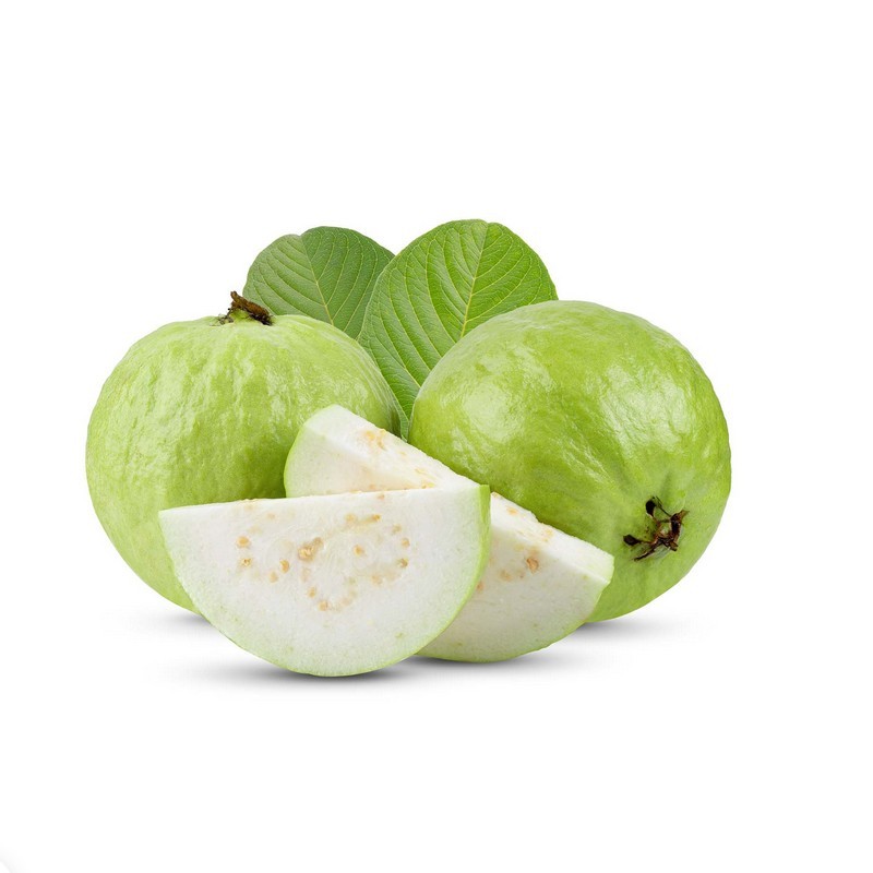 GUAVA